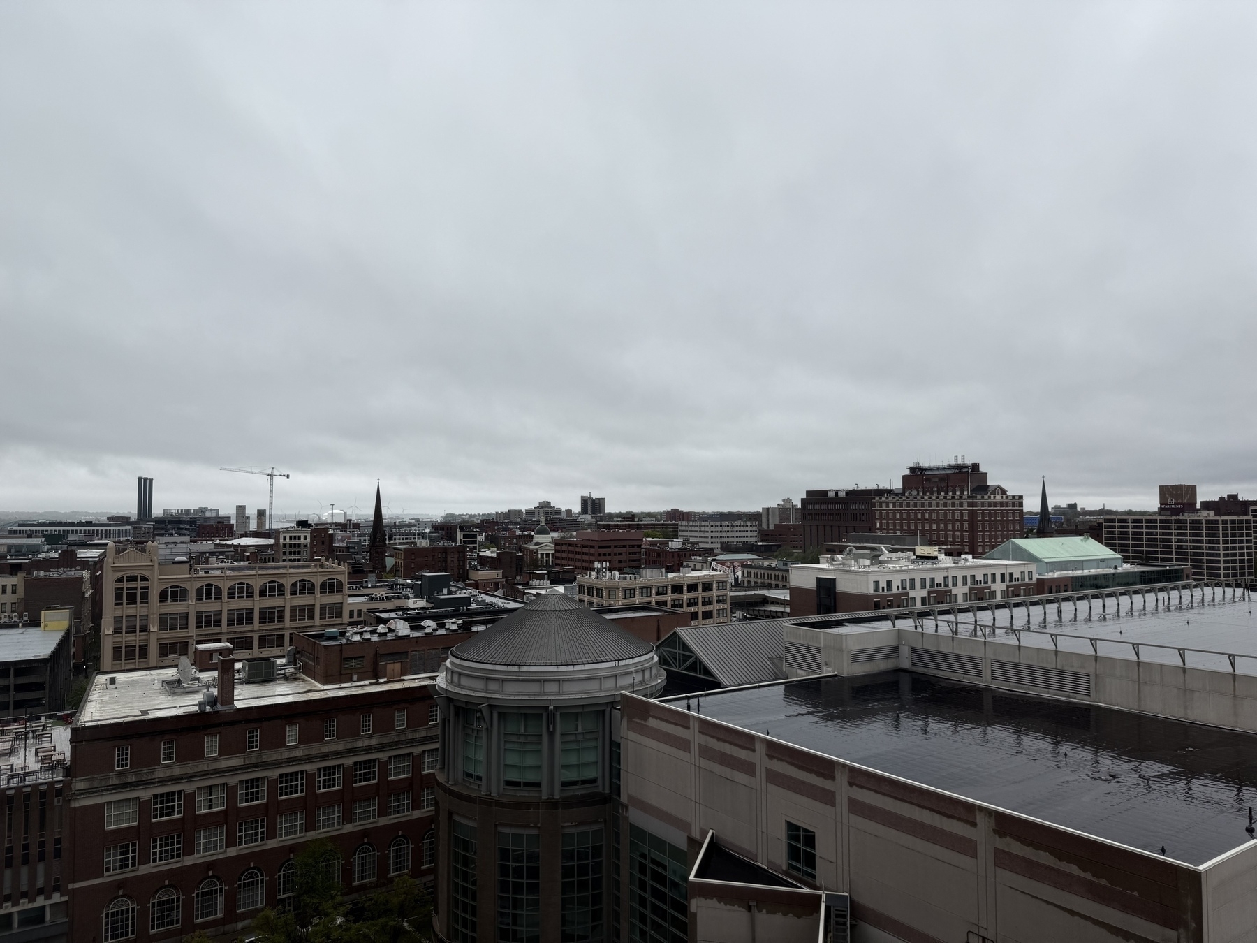 image_1.jpg