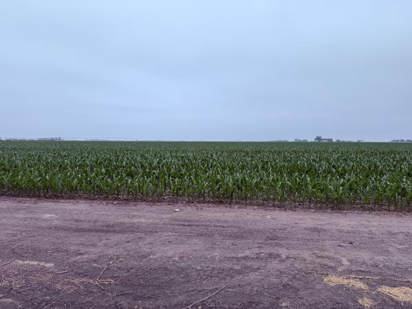 image_1.jpg